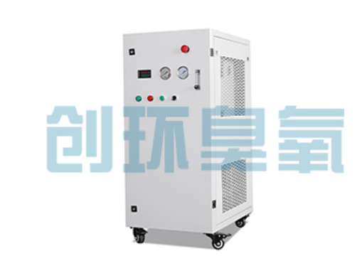 满城石斑鱼养殖水质调控完整指南:臭氧发生器配置与操作步骤