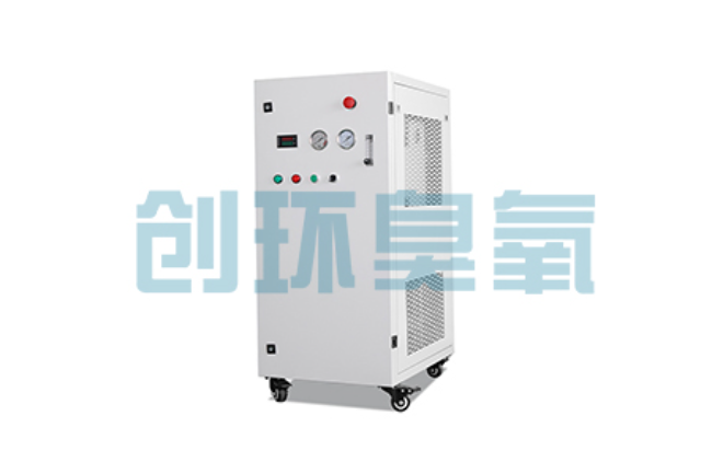满城比传统换水更高效?臭氧发生器在石斑鱼养殖中的水质净化原理解析